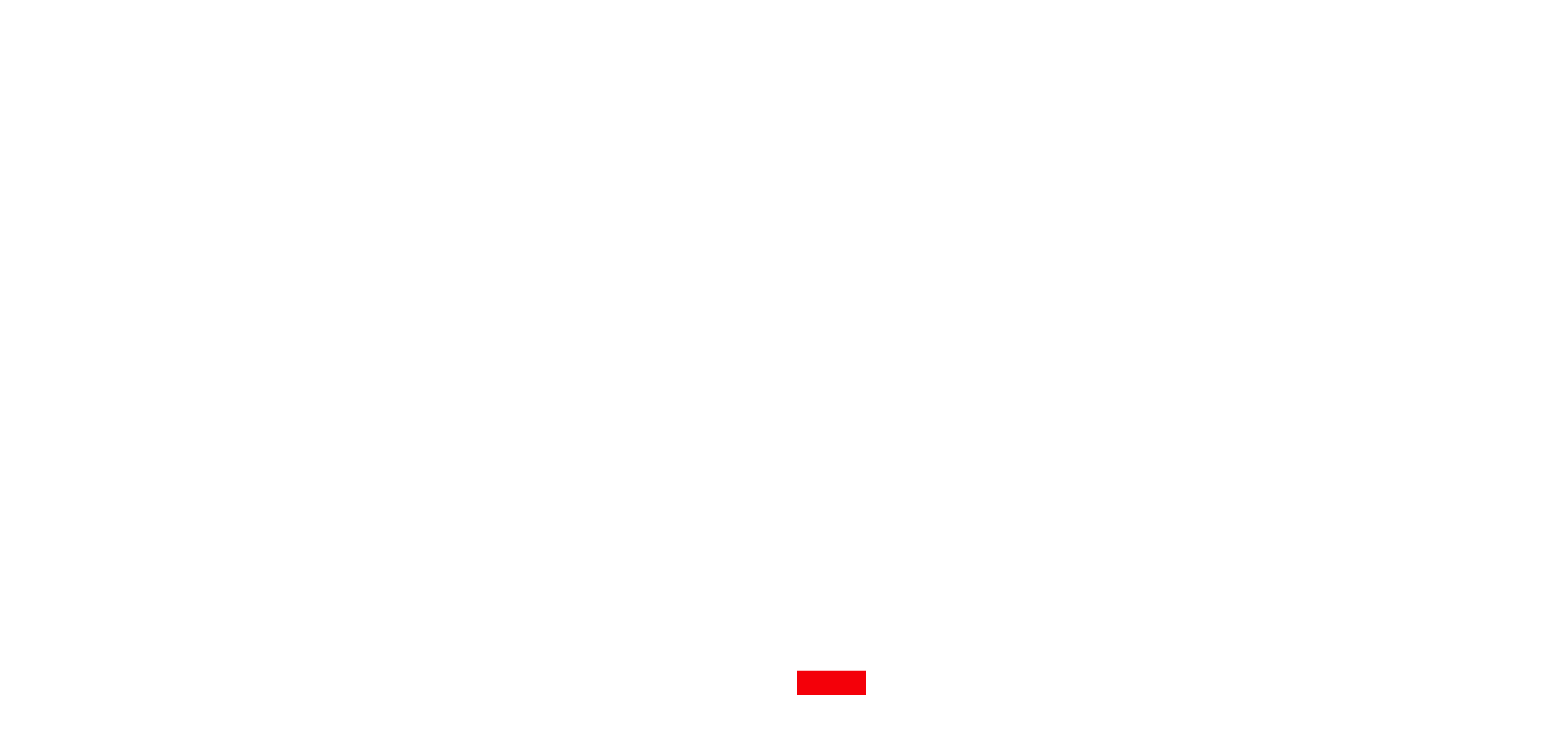 Sportfive Wordmark